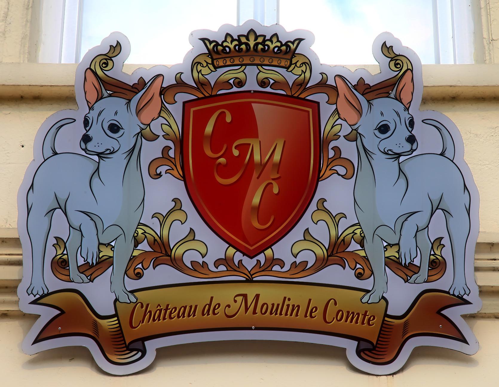 Chateau De Moulin Le Comte Aire-sur-la-Lys Esterno foto